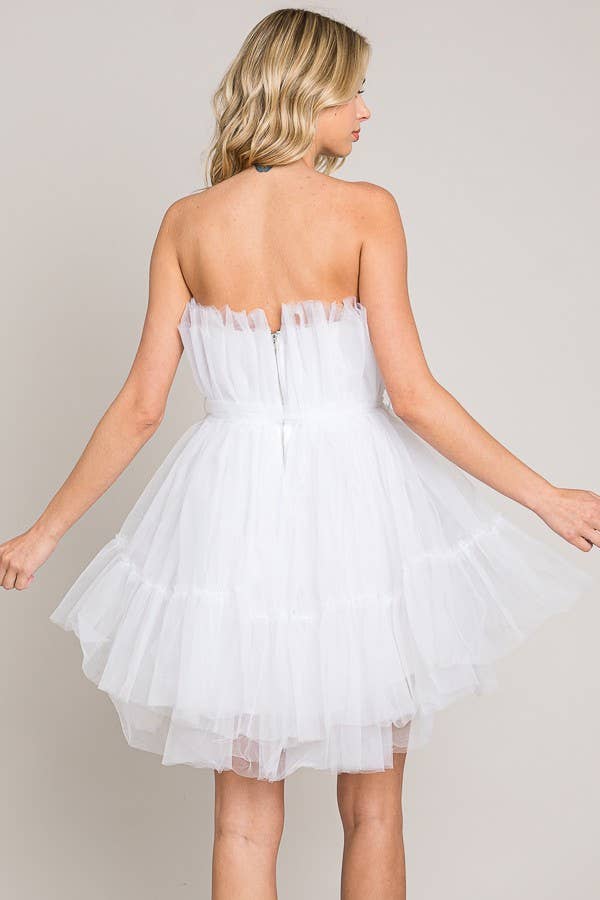 FSD80203-STK MESH TULLE TUBE DRESS 6PK UNIT PRICE $19