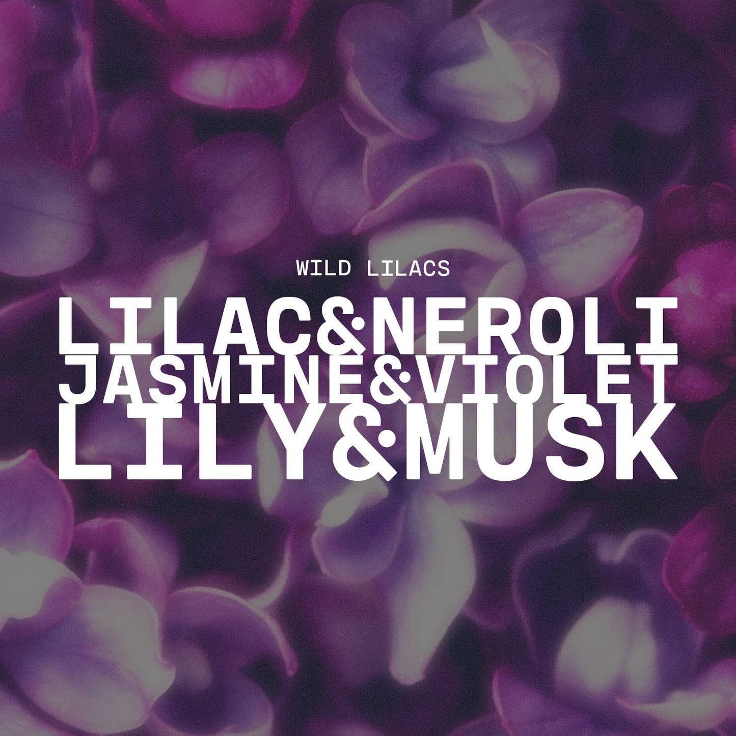 5.5 oz Wax Melts: Wild Lilacs