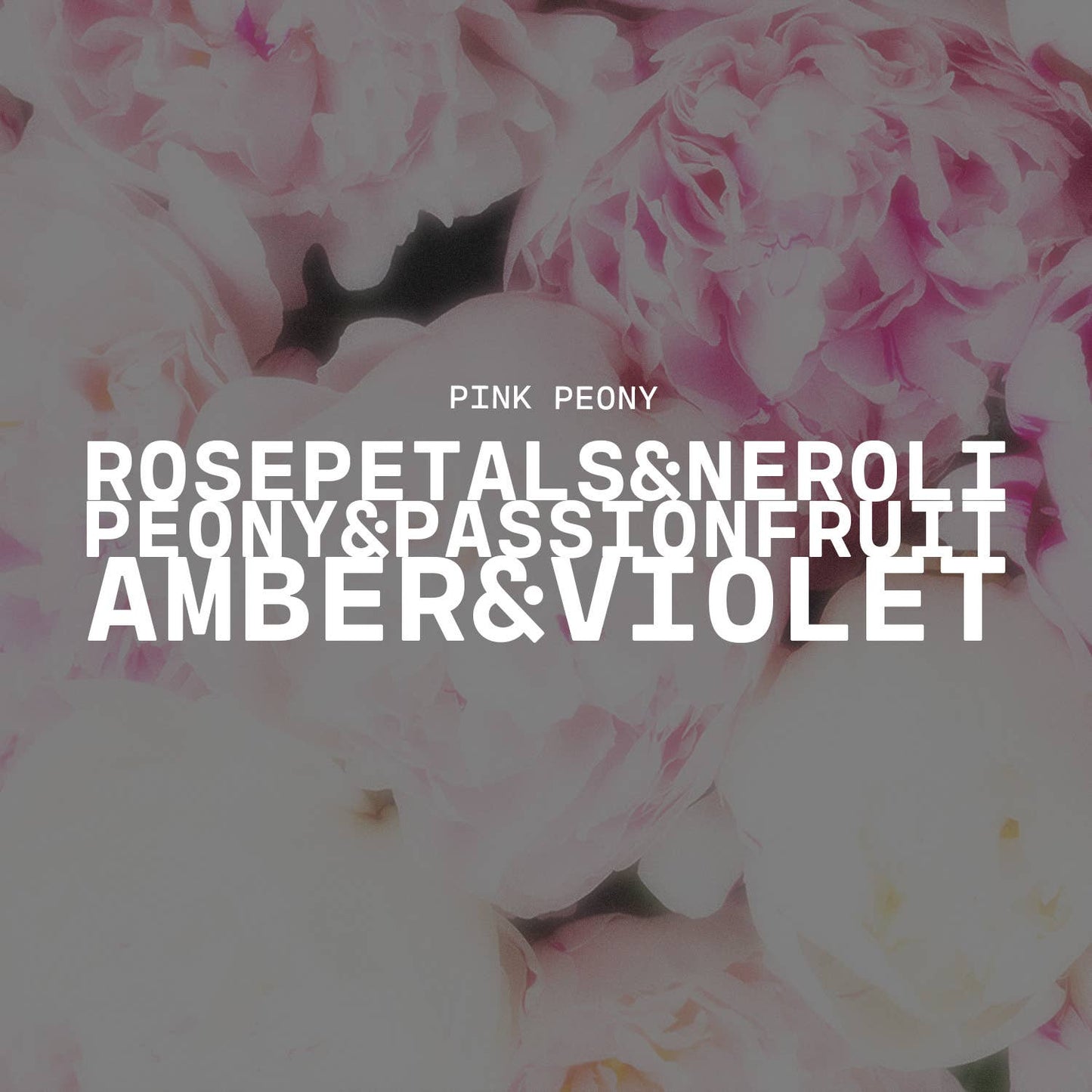 5.5 oz Wax Melts: Pink Peony